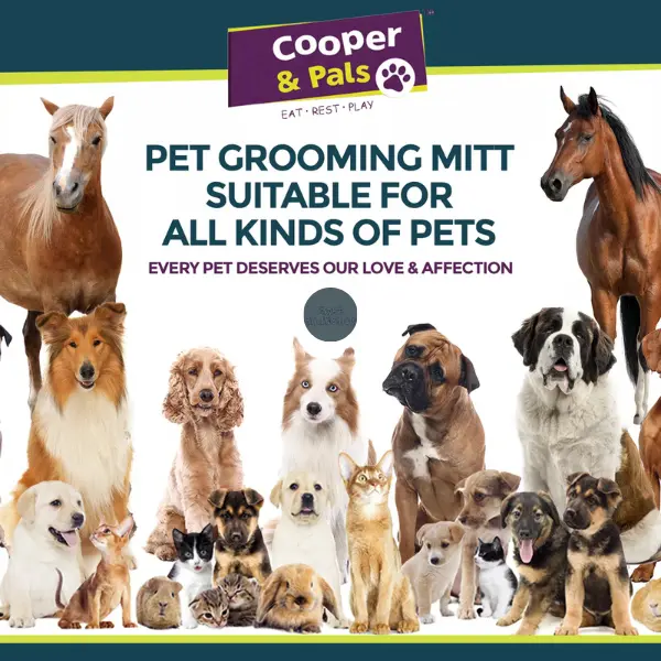 Dog Grooming Mitt Pet Glove Brush | Cat Fur Hair Remover Deshedding Hand Massage 3