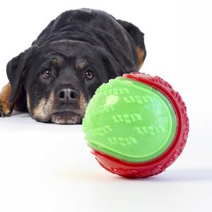 Self-pleasure Pet Squeaky Ball, Durable Dog Teeth Cleaning Toy, Bite Resistant Interactive Toy, Dogs Chewing Ball Toy, TPR Sounding Dog Toys Ball Summer Gift