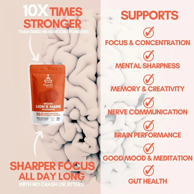 HYBRID HERBS – Organic Lions Mane Mushroom Powder 10X Strength - Nootropic Brain Supplement for Focus Memory & Concentration | Lion’s Mane HIGH Potency 10:1 Extract - 56 Serving (56g) 2