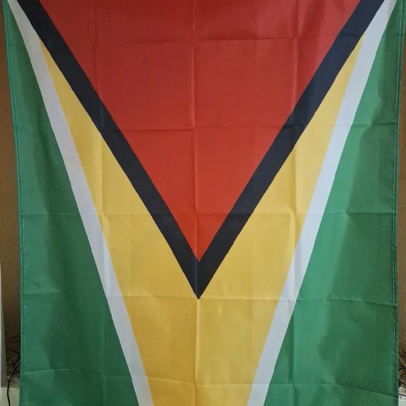 National Flag of Guyana - Perfect for Banners 5
