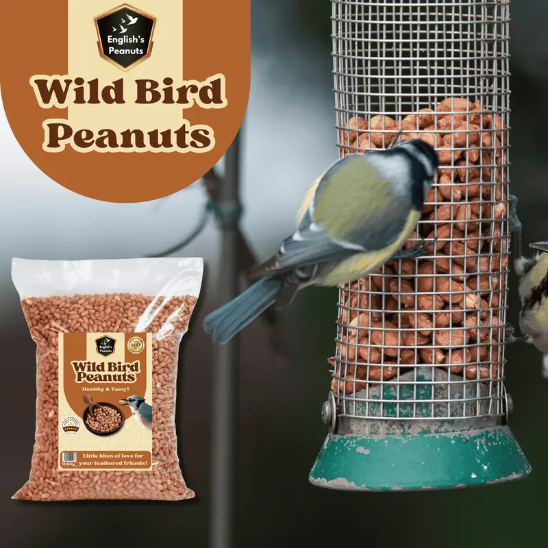 English's Peanuts Premium Wild Bird Peanuts 12.55kg – High-Protein & Energy-Rich Peanuts Wild Bird Food for Garden Feeders, Ideal Year-Round Feed 4