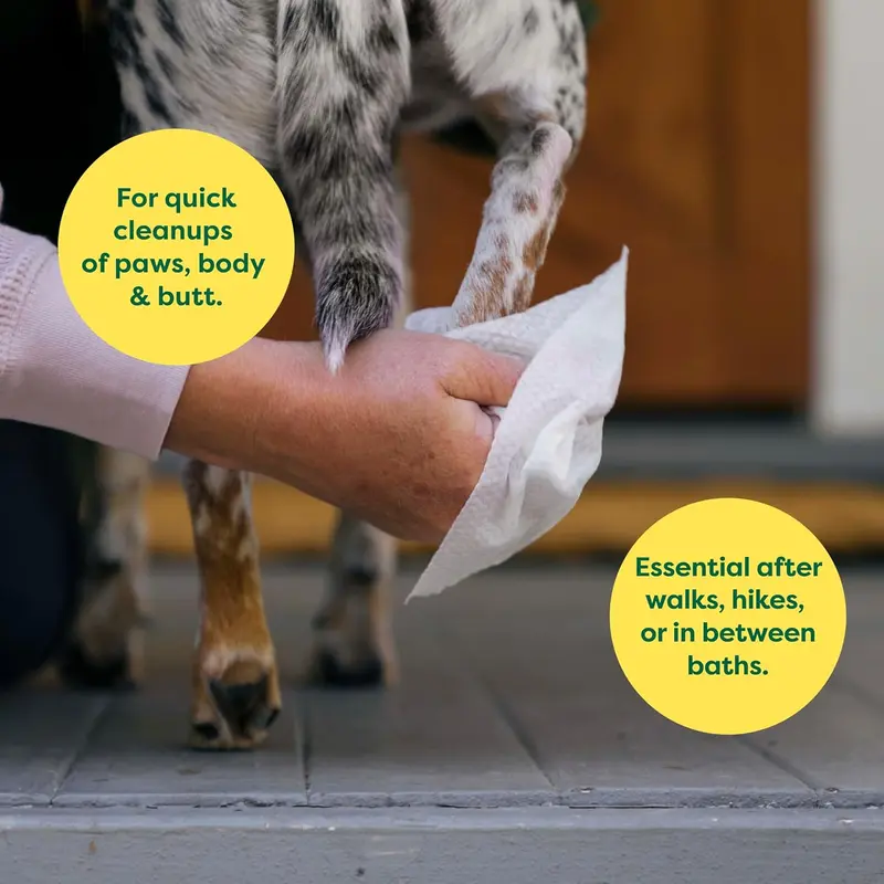 Earth Rated Hypoallergenic Dog Wipes, Cleaning and Odour-Controlling Grooming for Paws, Body, and Butt, Perfect for Puppy and Adult Dogs, Lavender Scent, 100 Count 3