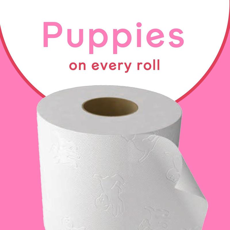 Family Soft Toilet Paper 24 Rolls (Previously Andrex Gentle Clean) Gentle on your Family’s skin– Pack of 24 Toilet Rolls, 170 sheets Per Roll, FSC Certified 1