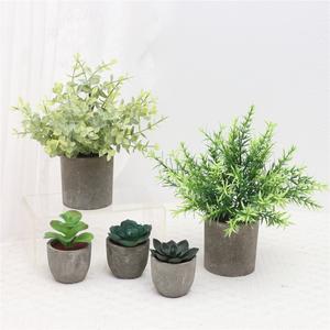 Set of 5 Artificial Eucalyptus Succulents in Pulp Paper Pot for Office Desk Home Decor
