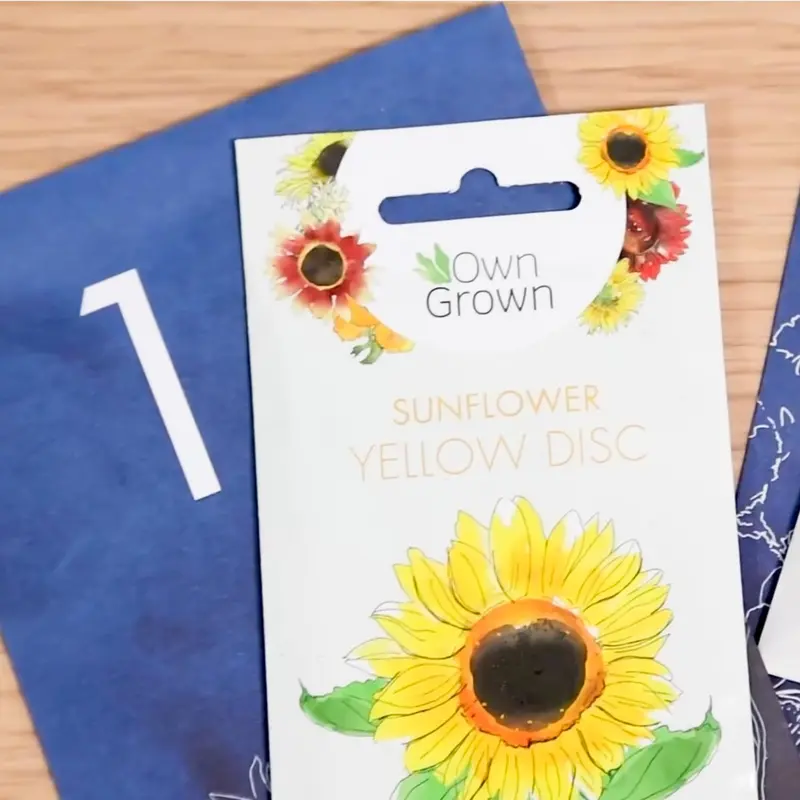 Flower Seeds Advent Calendar for 2024-24 Varieties of Wild Flower Plant Seeds DIY Kit - Garden Gift Decorations - Housewarming Gardening Gifts for Men and Women - Wildflower Organic Seeds 6