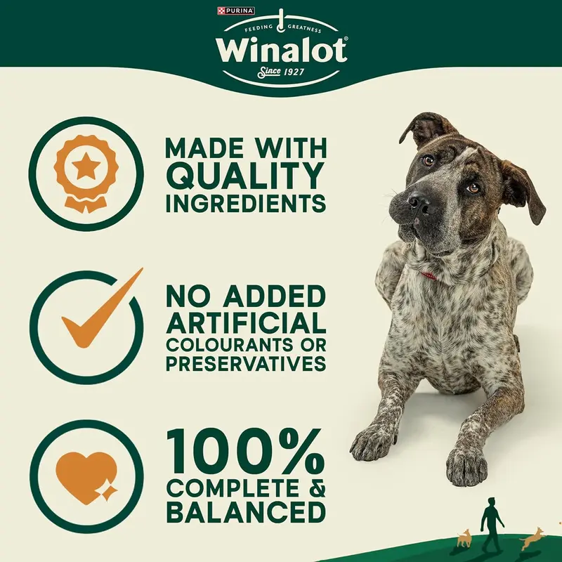 Winalot Dog Food Mixed in Gravy, 40 x 100g - Pack of 40 (Packaging may vary) 2