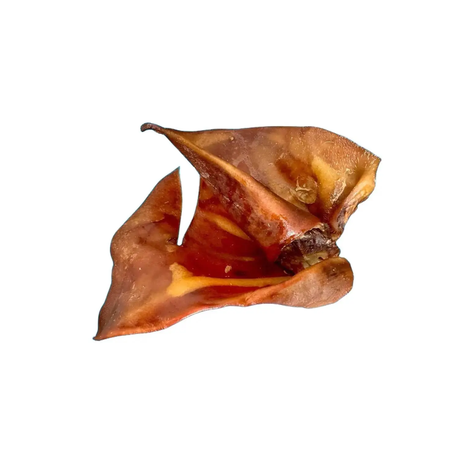 XL Sow Pig Ears - Natural Dog Treat for Small and Large Breeds