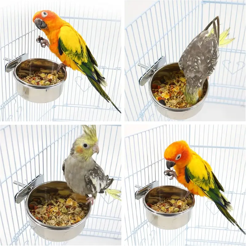 2Pcs Parrot Food Water Bowls,Bird Feeding Dish Cups Set,Stainless Steel Pet Hanging Bowl,Bird Cage Water Bowl with Clamp for Small Animal,Parrot Cockatiel Conure Budgies Parakeet Lovebird Chinchilla 1