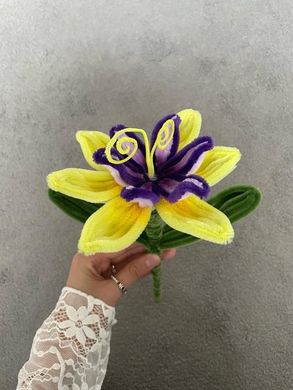 Product Introduction of RAPUNZEL FLOWER 3