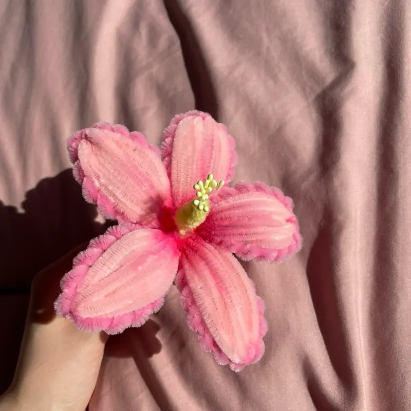 HIBISCUS (SINGULAR)