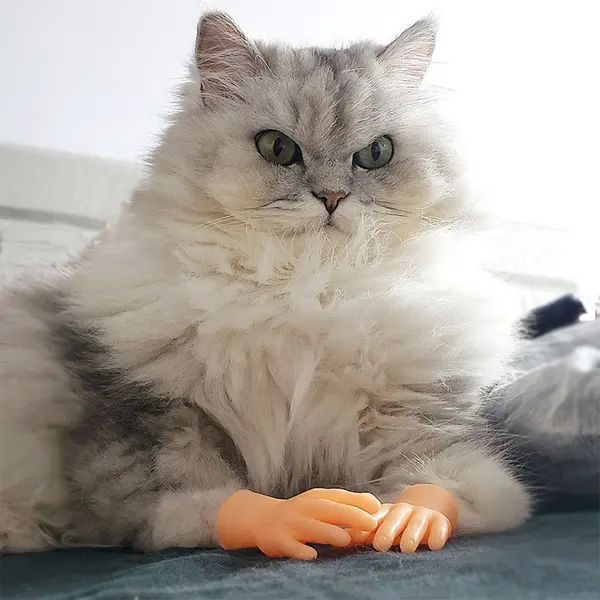 Finger Hand - Comfortable Cat Massage Tool - Mini Pet Toy 0