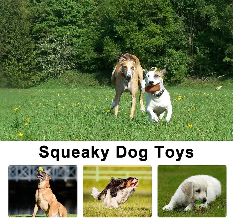 14 Pack Dog Squeaky Toys Cute Stuffed Plush Fruits Snacks and Vegetables Dog Toys for Puppy Small Dogs 3