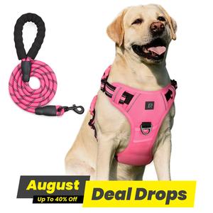 No Pull Dog Harness & Leash Set (2 Counts/set), Escape Proof Reflective Adjustable Pet Vest Tools, Adjustable Safety Harness, Soft Padded Pet Collars Harness with Handle for Small To Large Dogs, Harness Straps Studs, Walking Harness