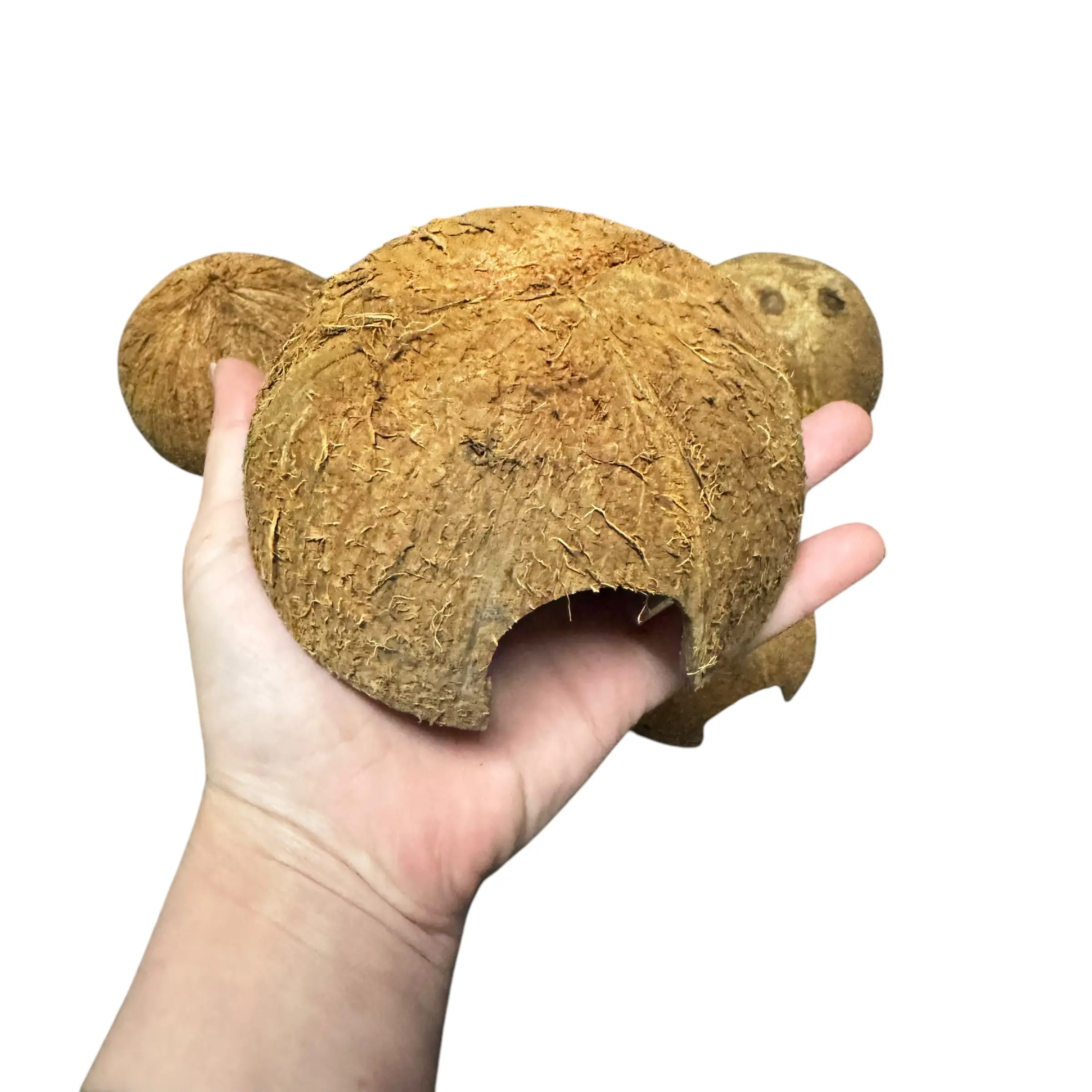 Half Coconut Hide - Small Natural Hide/Accessory for Reptiles, Amphibians & Invertebrates - Ideal Humid Hide