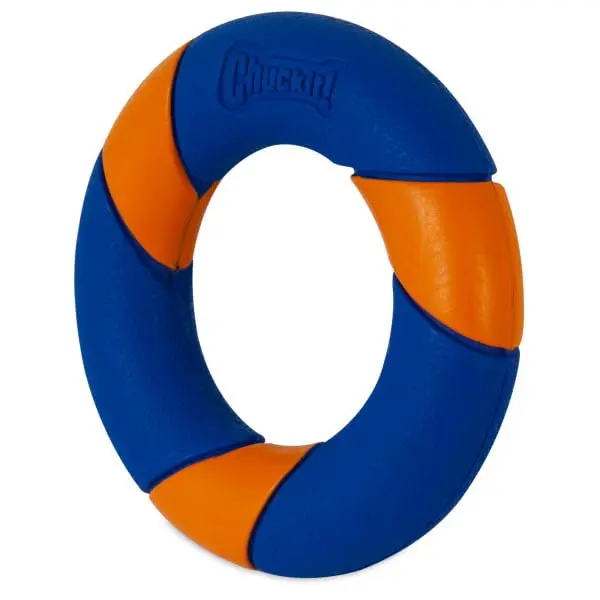 Chuckit! Ultra Squeaker Ring Dog Toy, Outdoor Fetch and Chase Toy for All Breed Sizes, multi-color 4