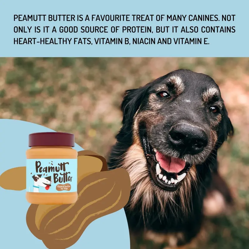 Peamutt Dog Peanut Butter | Peanut Butter Dog Treat | Formulated for Dogs | No Added Sugar and Salt | No Sweeteners | Dog Friendly Texture | Perfect Dog Treat | Pack of 1x340g 3