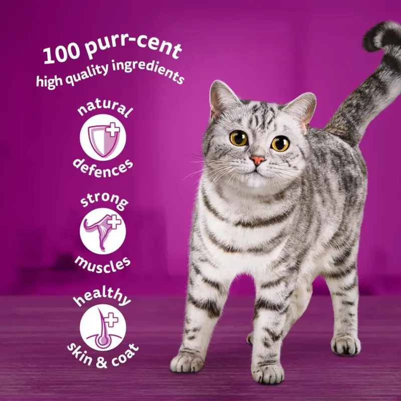 WHISKAS - 1+ Adult Wet Cat Food Pouches - 40 x 85 g - Poultry Selection - Bulk Cat Food Megapack - 40 Jelly Pouches 2