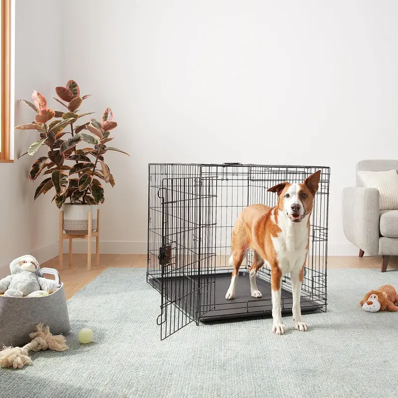 Amazon Basics XL Metal Dog Crate/Cage with Tray, Durable and Foldable Dog Cage with Double Door, Black, Extra Large 107cm (42") 4