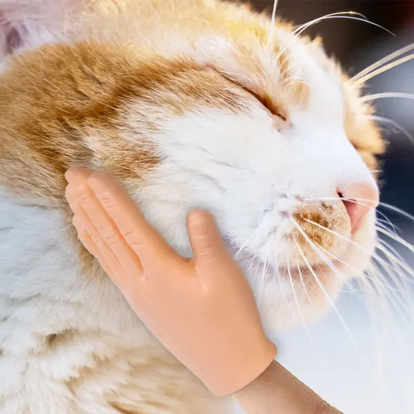 Finger Hand - Comfortable Cat Massage Tool - Mini Pet Toy 2