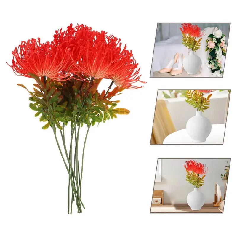 30/60/90/120 Seeds Start Your Water Garden With Hand - 10X Red Spider Lily Seeds Lycoris Radiata Flower Garden Plant Decoration Seed - Picked Lotus Seeds and Aquatic Plants UK HOT 7