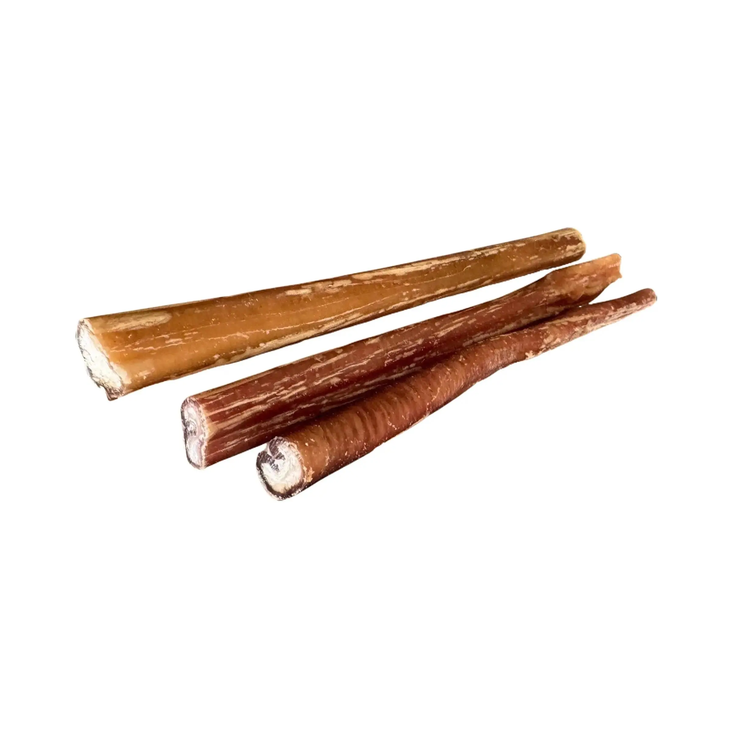24cm Bull Pizzles - natural dog treat / chew dental chews