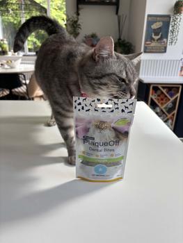 Product Review of ProDen PlaqueOff Dental Bites for Cats (60g) Veggie Flavour – Plaque Remover Made with Organic Seaweed to Reduce Tartar, Plaque, and Bad Breath. from h**s 0
