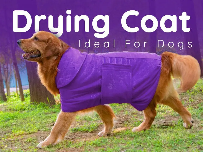 Dog Bathrobe Towel Microfibre Bath Robe Pet Super Absorbent Drying Coat large 1