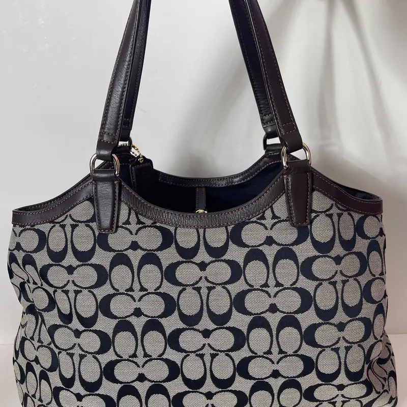 Pre-Owned Coach Devin Signature Croc-Stripe Shoulder Bag 1