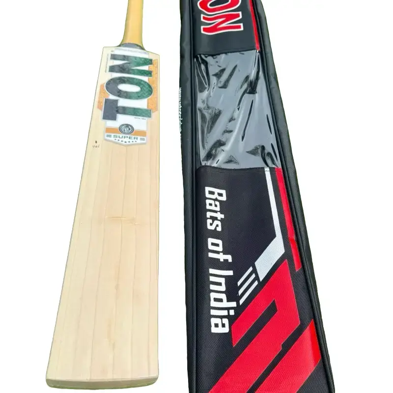 SS Ton Super Edition - Amazing Budget Cricket Bat