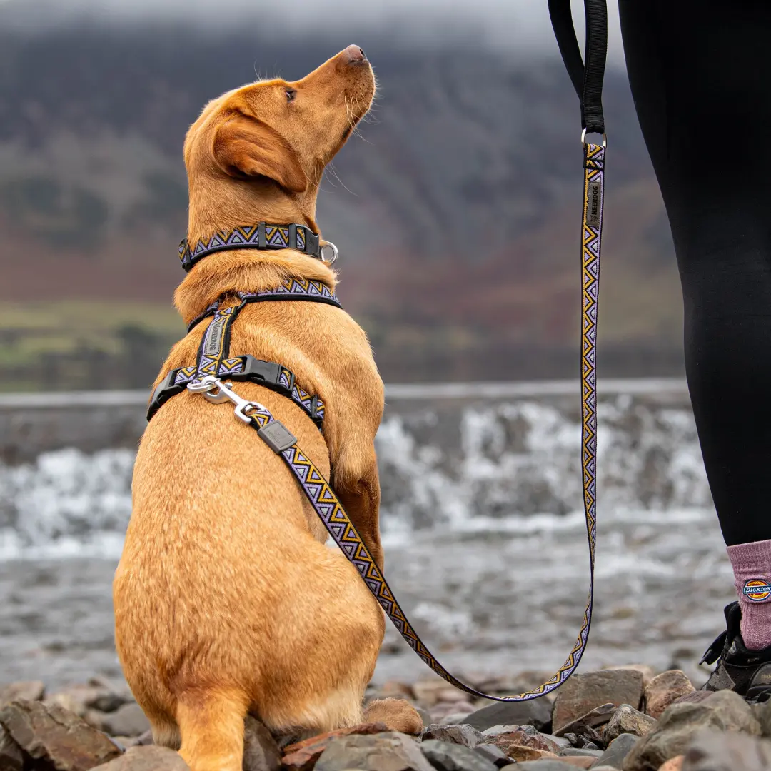 Neerdog Go-Cee Erysimum Dog Lead - Adventure Grade Double-Lined Jacquard Fabric with 360° Tangle-Free Clip