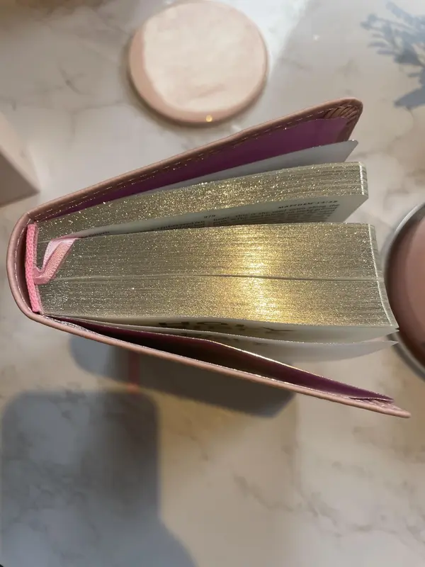 Holy Bible: New International Version (Pink Soft-tone Bible) (Pastel Pink Soft-tone) Paperback – 26 April 2012 3