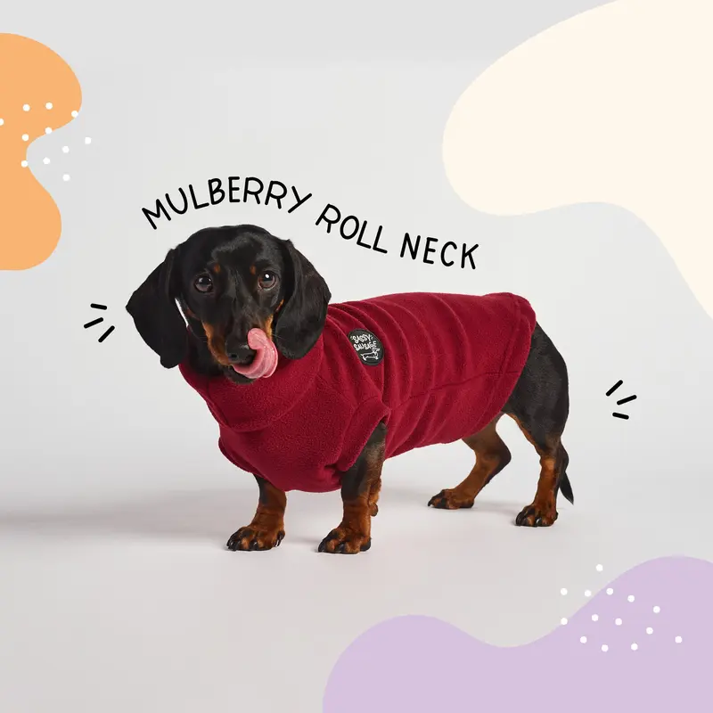 Dachshund Essentials Rollneck Jumper - Dachshund Jumper - Sausage Dog Rollneck Jumper 3