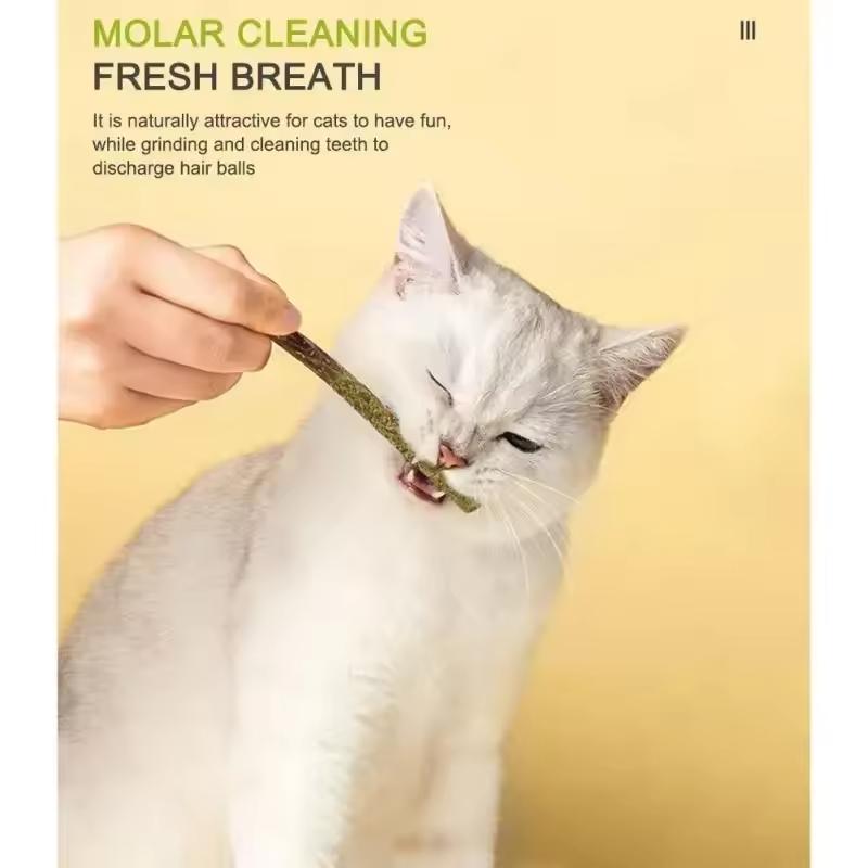 6pcs Natural Matatabi Cat Stick Mint Caught Bite Excited Rods Silvervine For Cat Teeth Cleaning Treating Pet Supply Cat Toys 2