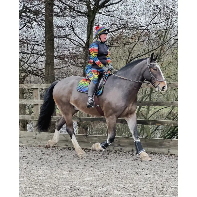 Rainbow Zebra Jodhpurs - Kids 6