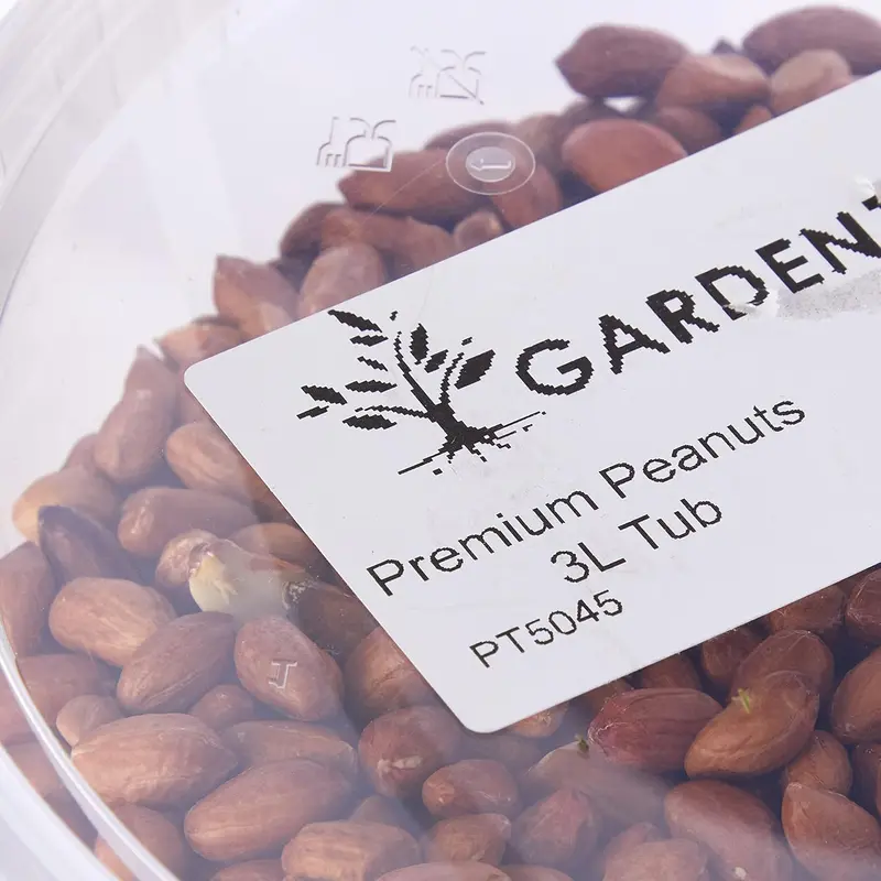 Ting Premium Peanut Kernels, Wild Bird Food Tub, 3 Litre 2
