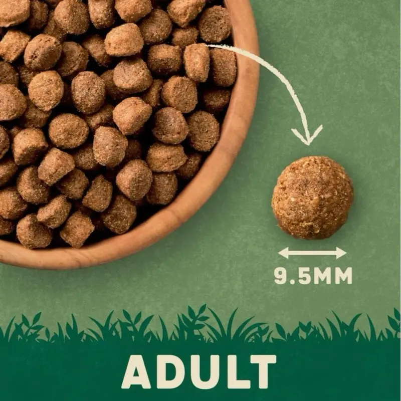 Harringtons Lamb & Rice Adult Dog Food 15 kg - All Natural Ingredients 4