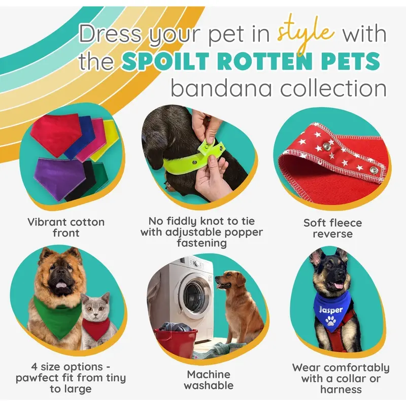 Pawkeye Dog Bandana 3