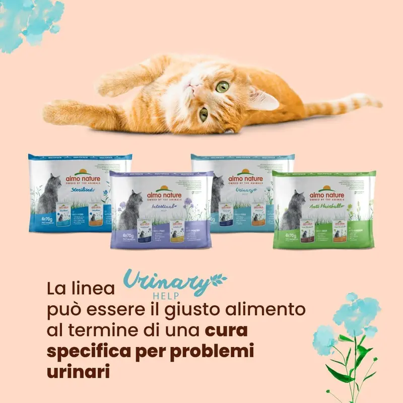 Almo Nature Functional Urinary Help Multipack Complete Wet Cat Food -3 pouches with Fish/3 pouches with Chicken, (pack of 6 pouches x70g), With Fish - With... 1
