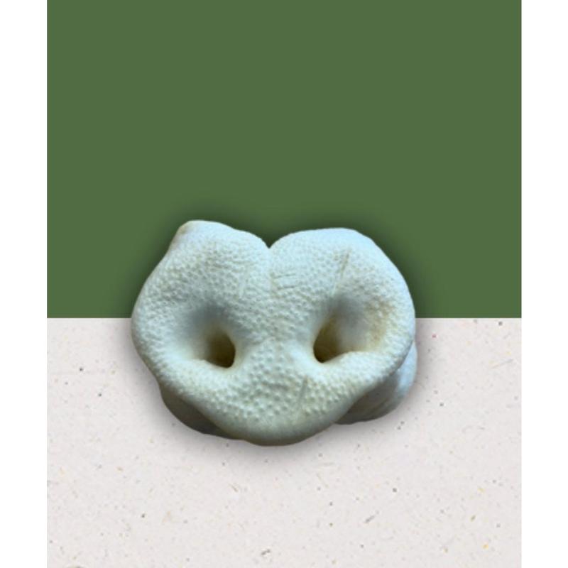 Anco Naturals Puffed Pig Snout 0