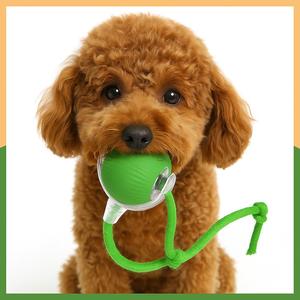 Automatic Interactive Pet Enrichment Ball – USB Rechargeable Motion Toy for Cats