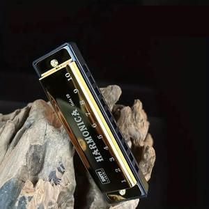 Travel 10 Holes Harmonica for Beginner, Professional Blues Harmonica for Beginner, Musical Instruments & Accessories