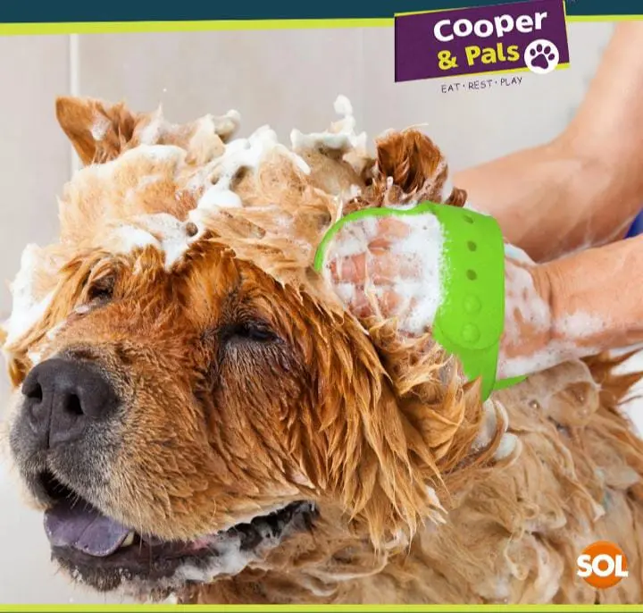 Dog Grooming Mitt Pet Glove Brush | Cat Fur Hair Remover Deshedding Hand Massage 8