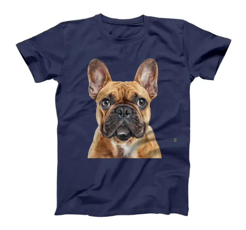 French Bulldog T-Shirt - Sweatshirt - Hoodie 6RI 2