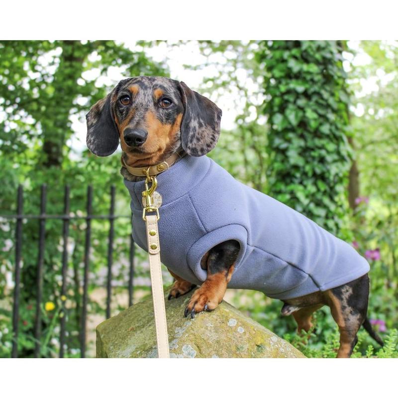 Dachshund Fleece Powder Blue 3