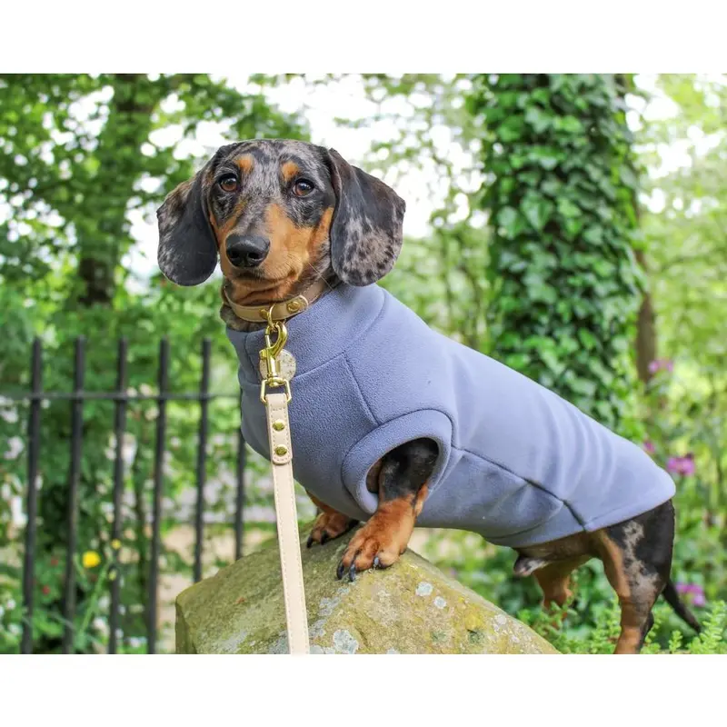 Dachshund Fleece Powder Blue 3