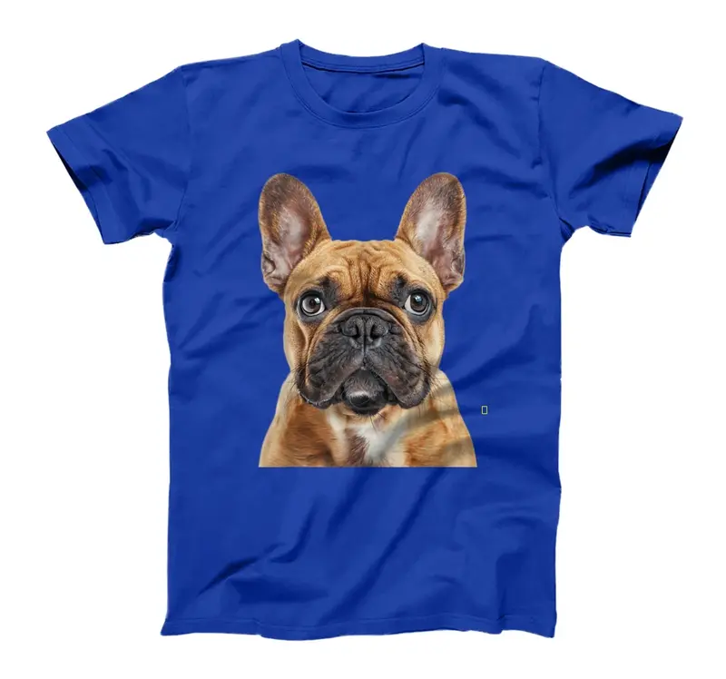 French Bulldog T-Shirt - Sweatshirt - Hoodie 6RI 5