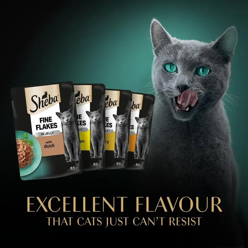 Adult Wet Cat Food Pouches- 40 x 85 g - Poultry - Bulk Cat Food Megapack - 40 Jelly Pouches 1