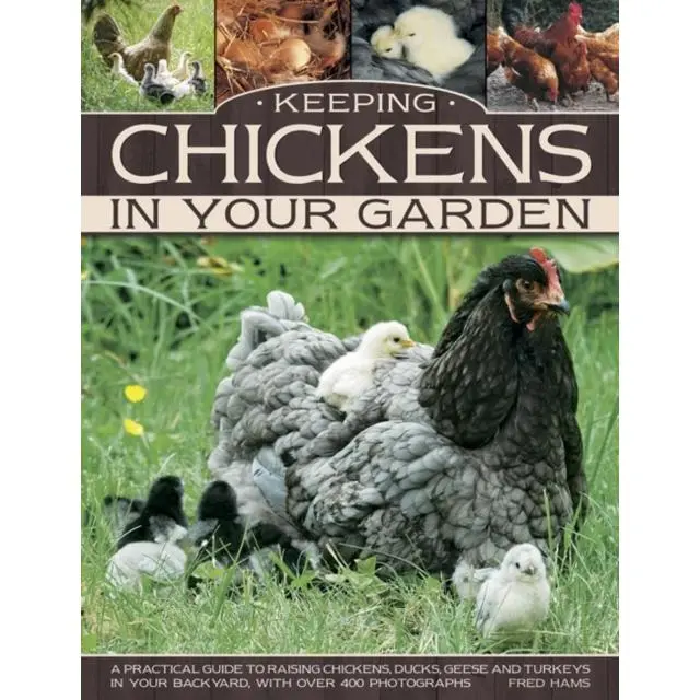 Keeping Chickens in Your Garden - Paperback Book - by Hams Fred - 9781780193090 - Anness Publishing