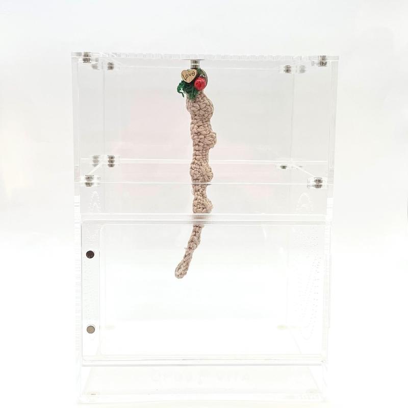 Crocheted Hanging Helter Skelter - Natural Love Bug - Jumping Spider Setup 1