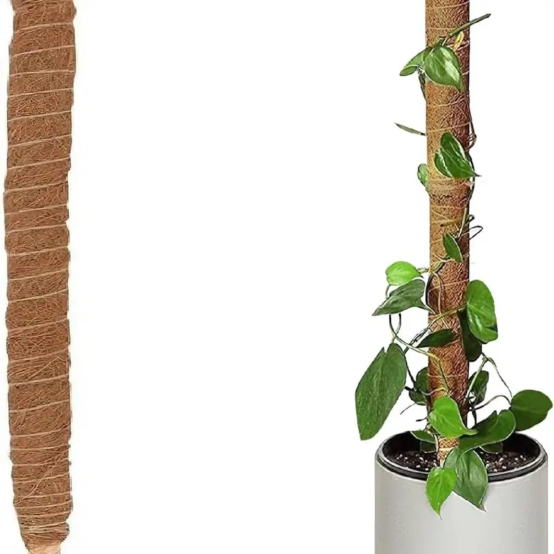 Moss Pole 80cm Coir Totem Pole Moss Stick Plant Support Totem Pole Plant Climbing Coco Coir Poles for Creepers Climbing Plant 3